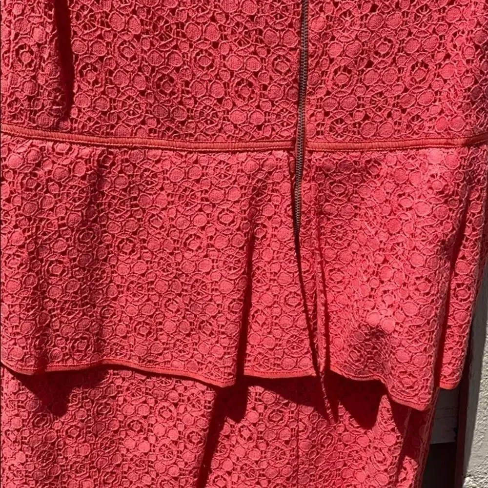 Max Studio Coral Embroider Dress Size 12